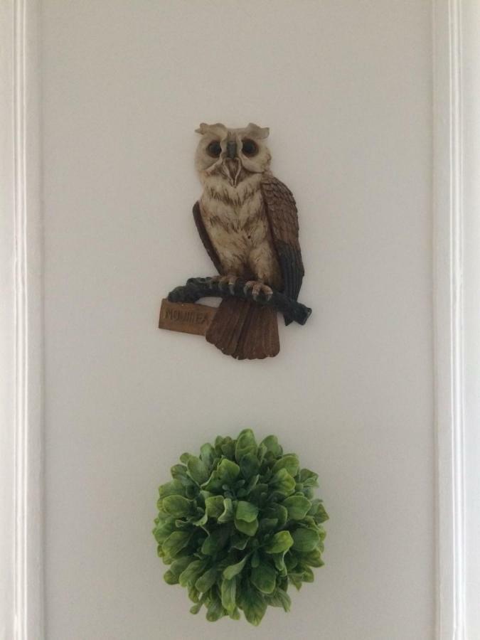 Apartament Casa Do Mocho Lizbona Zewnętrze zdjęcie